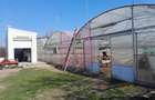 IALOMITA - SE VINDE TEREN 3100 MP - SAT ROSIORI - 9