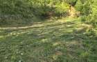 Teren de vanzare sau schimb in Valiug , zona Crivaia p 22.300 euro. Ideal pentru o cabana , sau loc de gratar . - 3