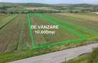 Teren 10.670 mp | Bor?a Cluj | Front 38m | Utilita?i - 5