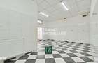 Apartament de vanzare la parter cu doua intrari, Andrei ?aguna - Arad - 11