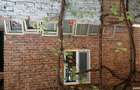 Vand ,casa in Tisa ,jud.Hunedoara - 5