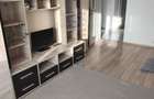 Apartament cu 2 camere decomandat în Bucovina - 4
