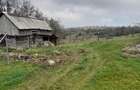 Coliba plus 2 hectare de pamant - 5