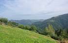 Vand teren la munte pentru cabana - 5