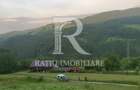 Teren 10.900mp | Panorama in Apuseni | Remeti -Ideal pentru Investitii - 7