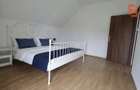 Casa individuala in Sanmihaiu Roman disponibila imediat - 5