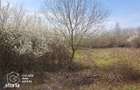 Teren intravilan, 1080 mp, Lipova - 2