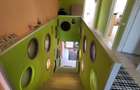 Casa P+1 In Balotesti Langa Padure, Crama, Beci Si Curte Amenajata - 6