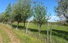 Teren cu vedere panoramica Str. Iris Alba Iulia - 1
