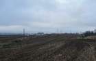 Teren Dorohoi - 23000 mp - Sau - Parcele 1000mp, 900mp, 1500mp, etc. - 10