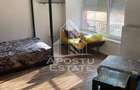 Apartament cu 1 camera de vanzare, terasa, Zona Aradului, Timisoara - 5