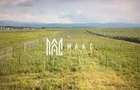 Teren | Intravilan | 511 mp | PUZ-Aprobat - 4