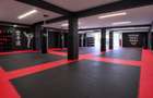 PF - inchiriez spatiu Cluj 200 mp + 4 parcari - 1