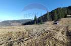 Teren 31,461mp Panaci / Prelungirea Ialovita - 12