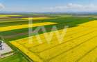 Teren 10.600 mp în Codlea – ideal pentru investiție industrială - 11