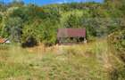 Teren de vanzare, 4847 mp, cabana, zona Nadrag - 6