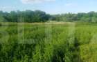 Teren intravilan de vanzare, 3700 mp, zona Braesti