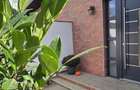 Vile PARK Residence 3 Lumina posibilitate rate - 14