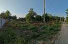 Teren de vanzare LIVEDEA/IALOMITA - 3