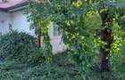 Teren Vrancea 9000 mp cu casa si vie