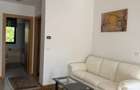 Apartament doua dormitoare inchiriat Timisoara - 6