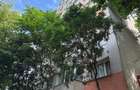 Apartament renovat | Colentina | Tripla Expunere - 15