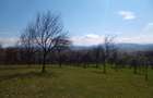 teren in Timi? zona de munte Valea lui Liman - 6