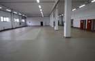 Hala productie    - Calea Torontalului de vanzare - 3