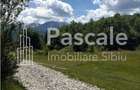 TEREN INTRAVILAN DE VANZARE VALEA AVRIGULUI | PANORAMA DEOSEBITA - 3