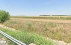 Teren Autostrada Soarelui A2-zona industriala Lehliu - 2