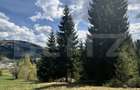 Teren in Vatra Dornei, str Rosu, 8450 mp, extravilan + intravilan - 3