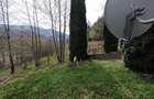 Proprietate de vacanta Valea Oltului - BREZOI - 4