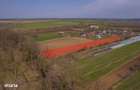 Nuci - Balta Neagra, Lot 3900 Mp, La Padure! - 6