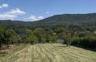 TEREN 1.000 MP IN CARTIERUL BUDA Ramnicu Valcea | Utilitati complete - 3