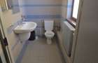 VAND/INCHIRIEZ SPATIU COMERCIAL D+P ULTRACENTRAL - 13