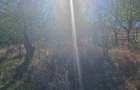Teren 1300mp Strada Faget Sighet Intravilan!