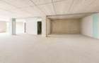 Spatiu comercial de 178mp | SAD | Central - 7