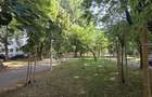 COMISION 0 % I 2 camere Bach - Parc Cinematograf Floreasca I et. 3 I - 12