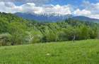 Oportunitate perfecta pentru un proiect turistic - 3.274 mp in Simon, Bran - pensiune, boutique-hotel, vile de vacanta sau complex eco-turistic