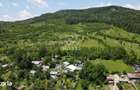 Teren spectaculos cu padure, livada si priveliste panoramica in Soimar - 16