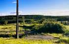 TEREN DE VANZARE 1471 m Betfia/Sanmartin /Oradea - 2