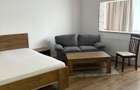 Apartament cu o camera de inchiriat in zona Buzaului - 3
