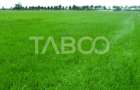 Teren intravilan deschidere 35 ml 7000mp in zona Industrial Vest Sibiu - 2