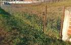 Casă cu 2 camere cu Teren 3754 Mp în Costișa - 1