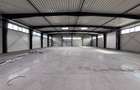 Hală industrială nouă depozitare de inchiriat Zona Industrială Sânandrei DN69 - 10