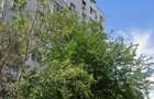 Apartament 3 camere, balcon, lift -Metro Dristor 14 minute - 5