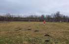 Teren deosebit 11.000 MP + LIVADA DE NUCI | Parscov Magura, BUZAU | Ideal pensiune / glamping - 2