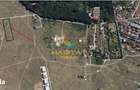 Teren intravilan 5000 mp - Baneasa | Jandarmeriei - 1
