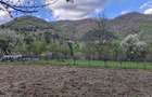 DE VANZARE- Proprietati ?i teren in comuna Malaia,sat Ciungetu(jud.Valcea) - 2
