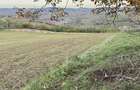 Teren intravilan de vanzare com. Cojocna - 5